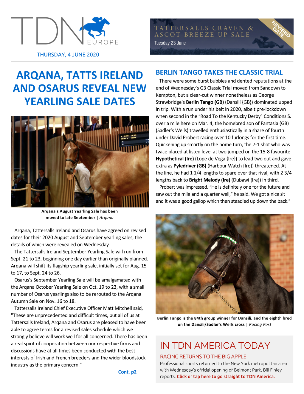 Arqana, Tatts Ireland and Osarus Reveal New Yearling Sale Dates Cont