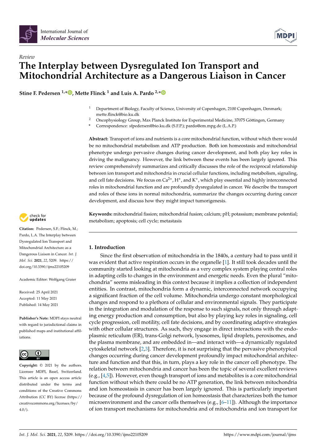 The Interplay Between Dysregulated Ion Transport and Mitochondrial Architecture As a Dangerous Liaison in Cancer