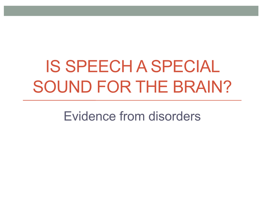 Bilateral Damage to Auditory Cortex