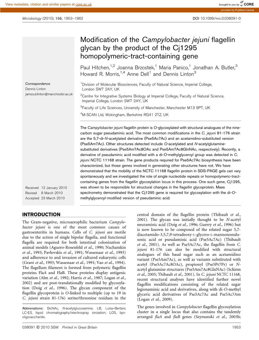 Modification of the Campylobacter Jejuni Flagellin Glycan by the Product of the Cj1295 Homopolymeric-Tract-Containing Gene