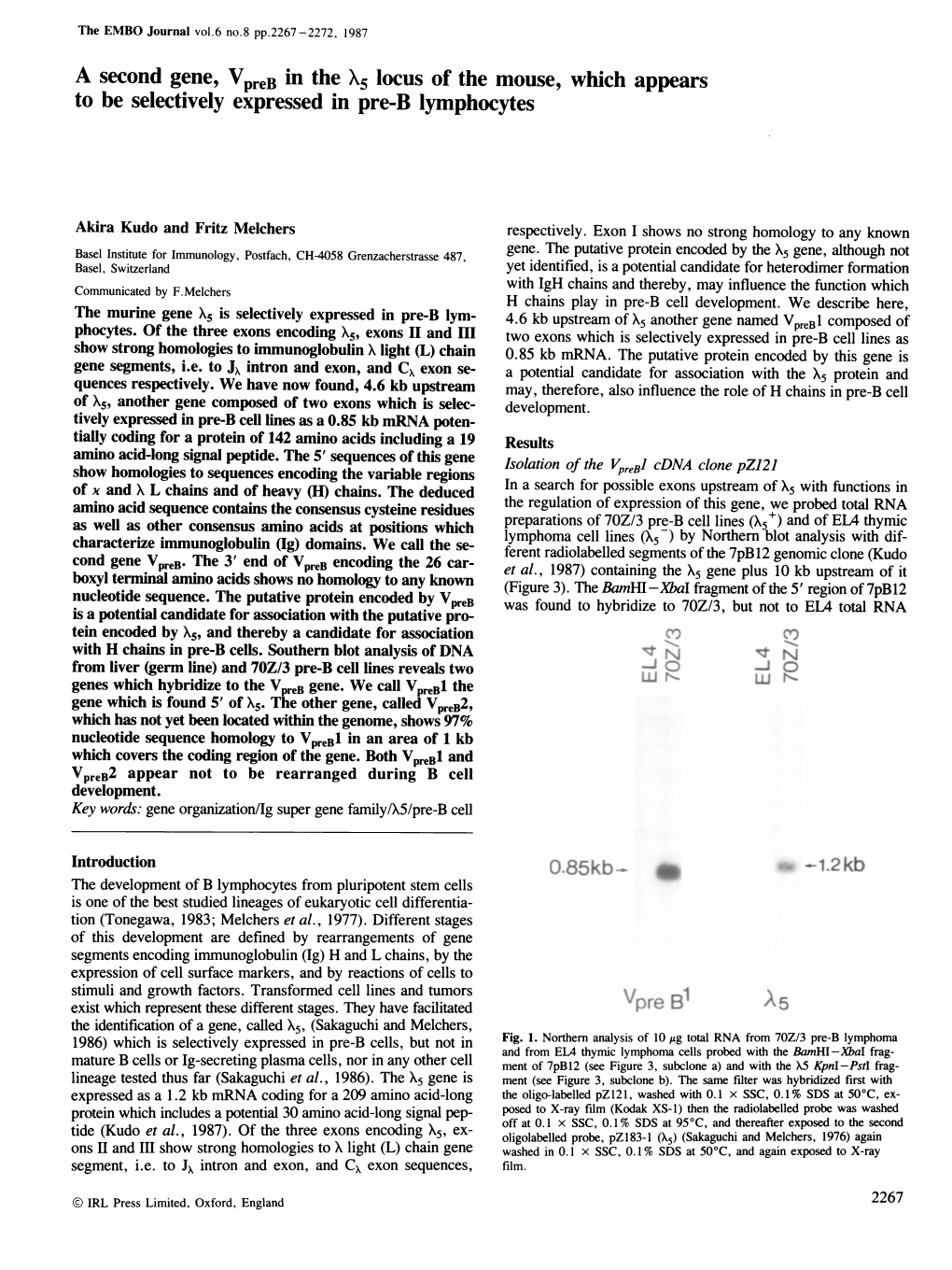 A Second Gene, Vpreb in the X5 Locus of the Mouse, Which Appears to Be Selectively Expressed in Pre-B Lymphocytes