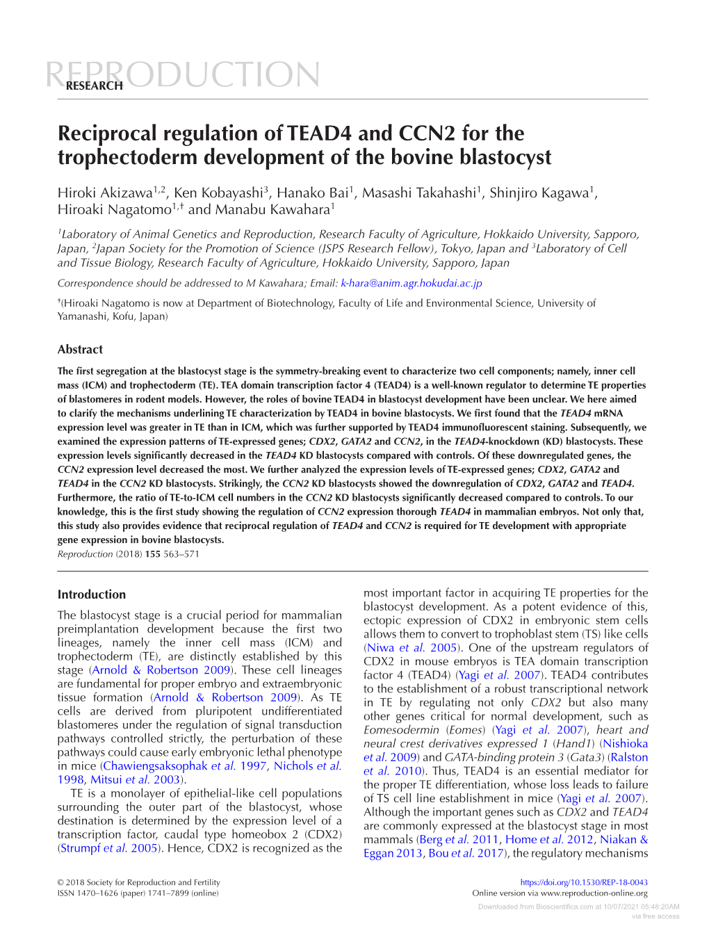 Reciprocal Regulation of TEAD4 and CCN2 for the Trophectoderm Development of the Bovine Blastocyst