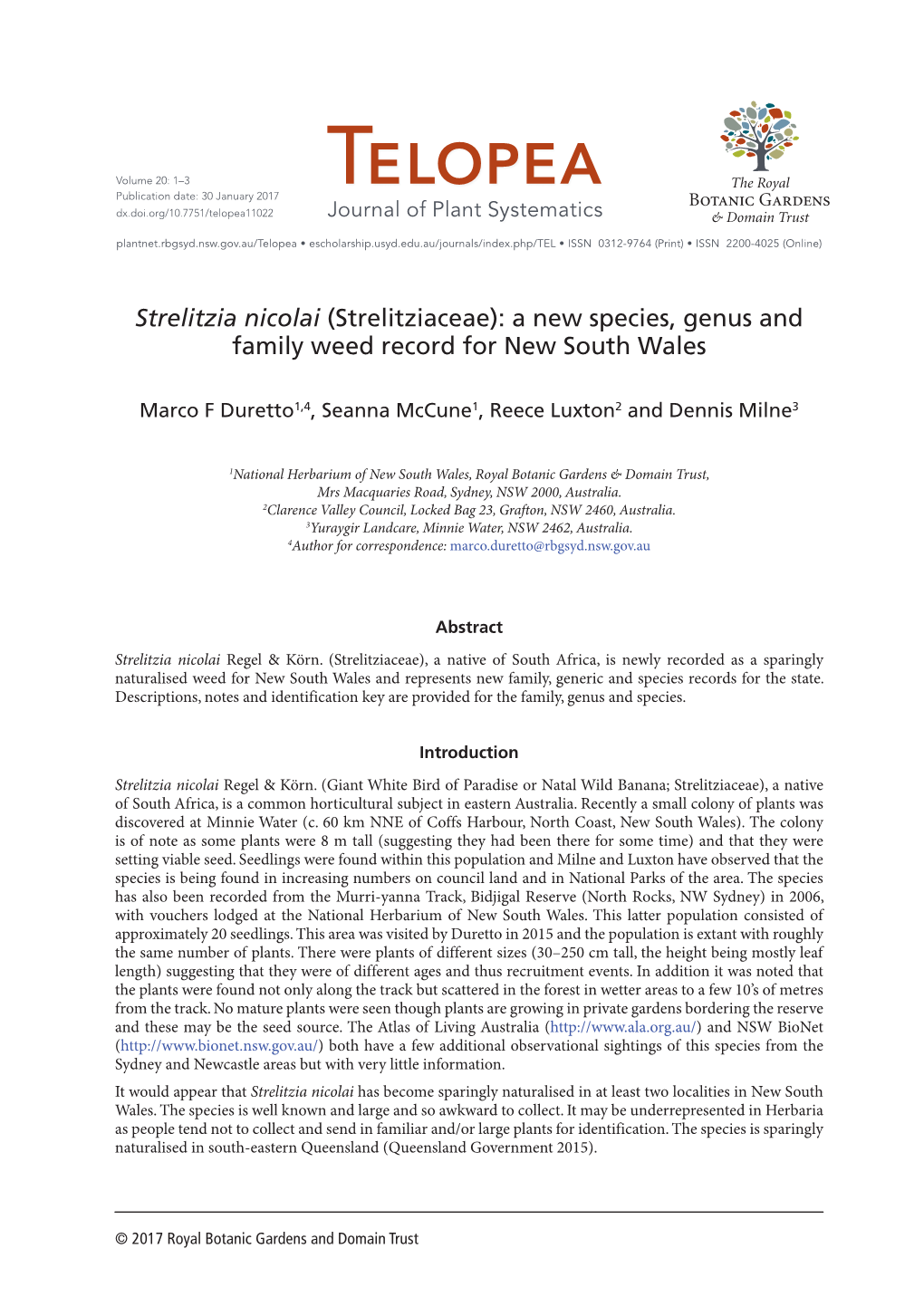 Strelitzia Nicolai (Strelitziaceae): a New Species, Genus and Family Weed Record for New South Wales