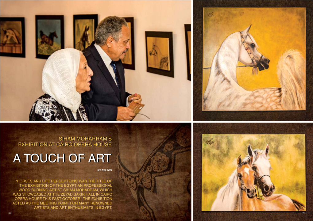 Siham Moharram's Exhibition at Cairo Opera House