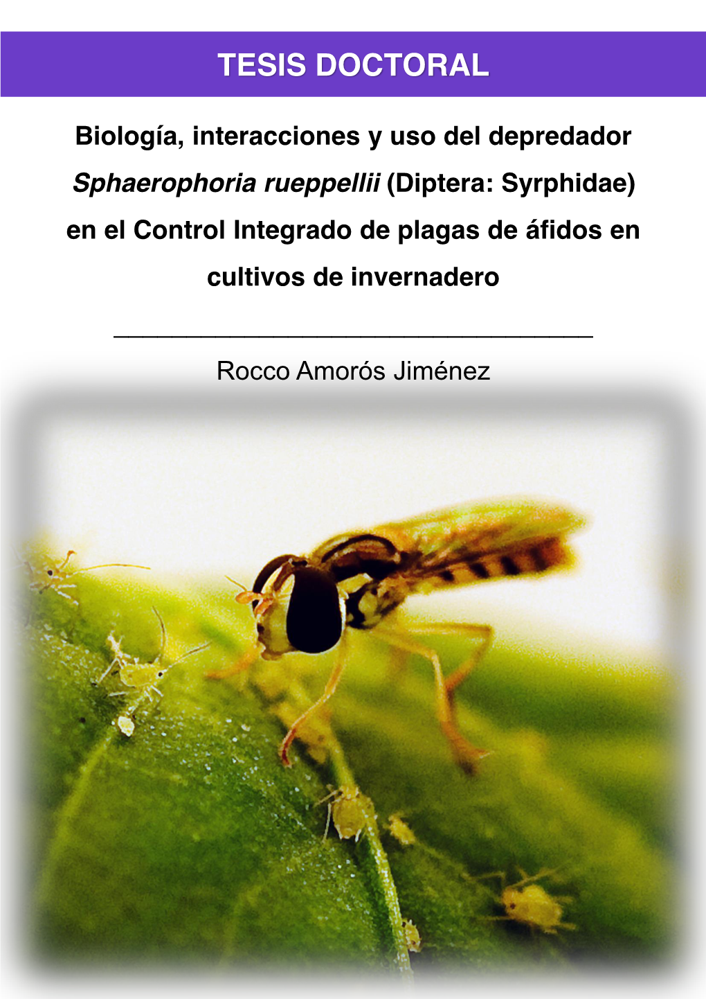 Diptera: Syrphidae) En El Control Integrado De Plagas De Áfidos En Cultivos De Invernadero ______Rocco Amorós Jiménez