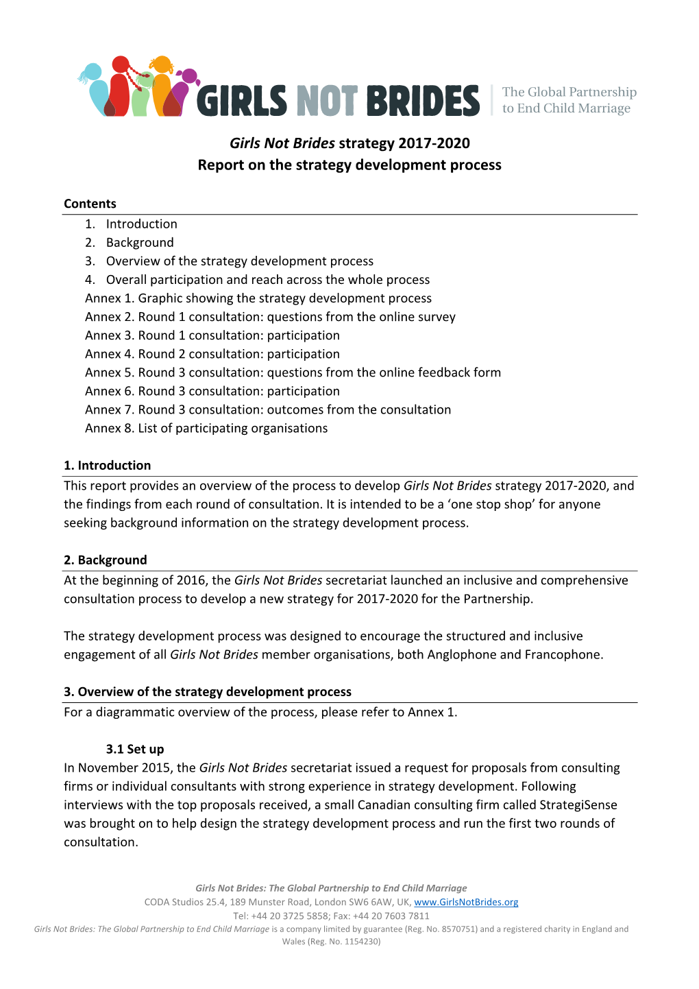 Report on the Strategy Development Process