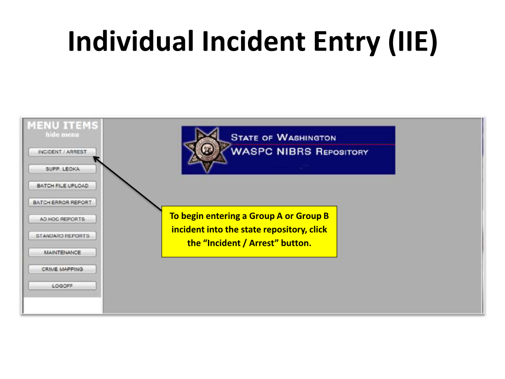 Individual Incident Entry (IIE)