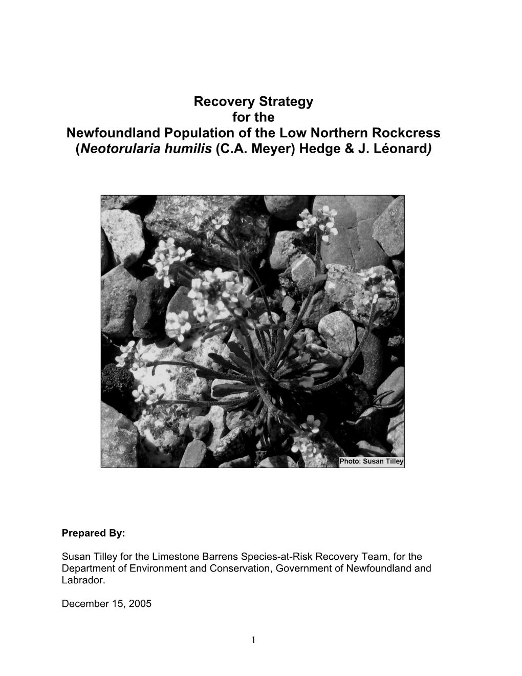 Recovery Strategy for the Newfoundland Population of the Low Northern Rockcress (Neotorularia Humilis (C.A