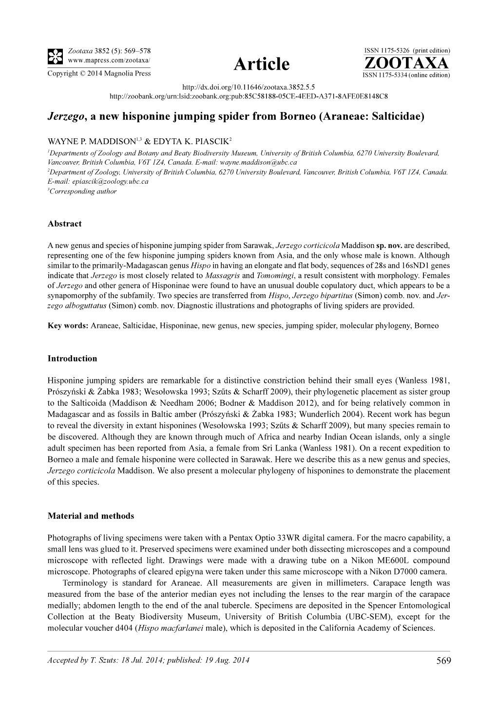 Jerzego, a New Hisponine Jumping Spider from Borneo (Araneae: Salticidae)