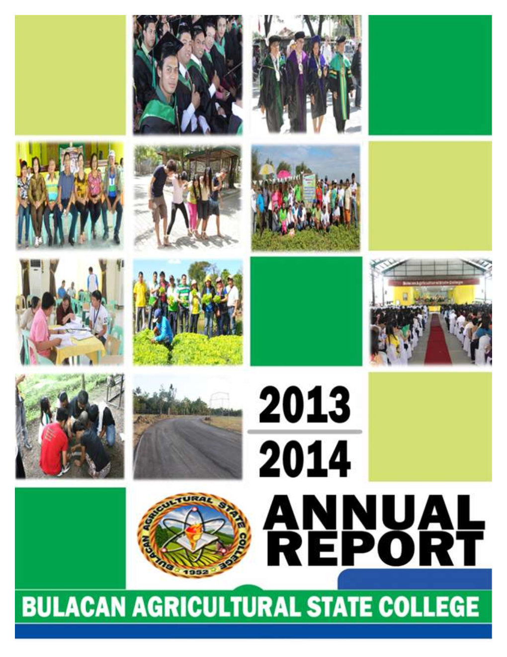 Annual Report 2013