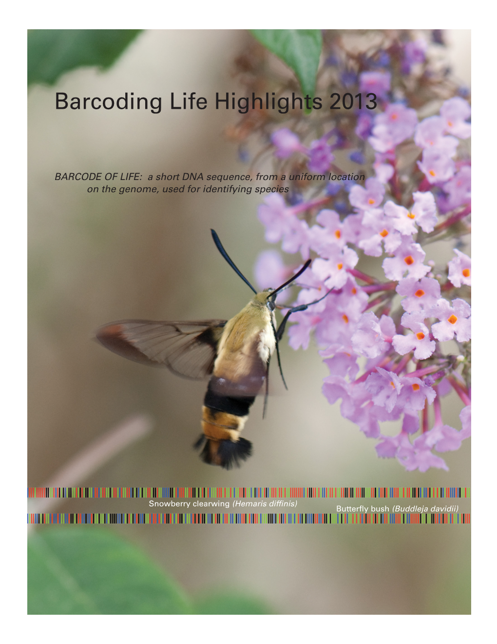 Barcoding Life Highlights 2013