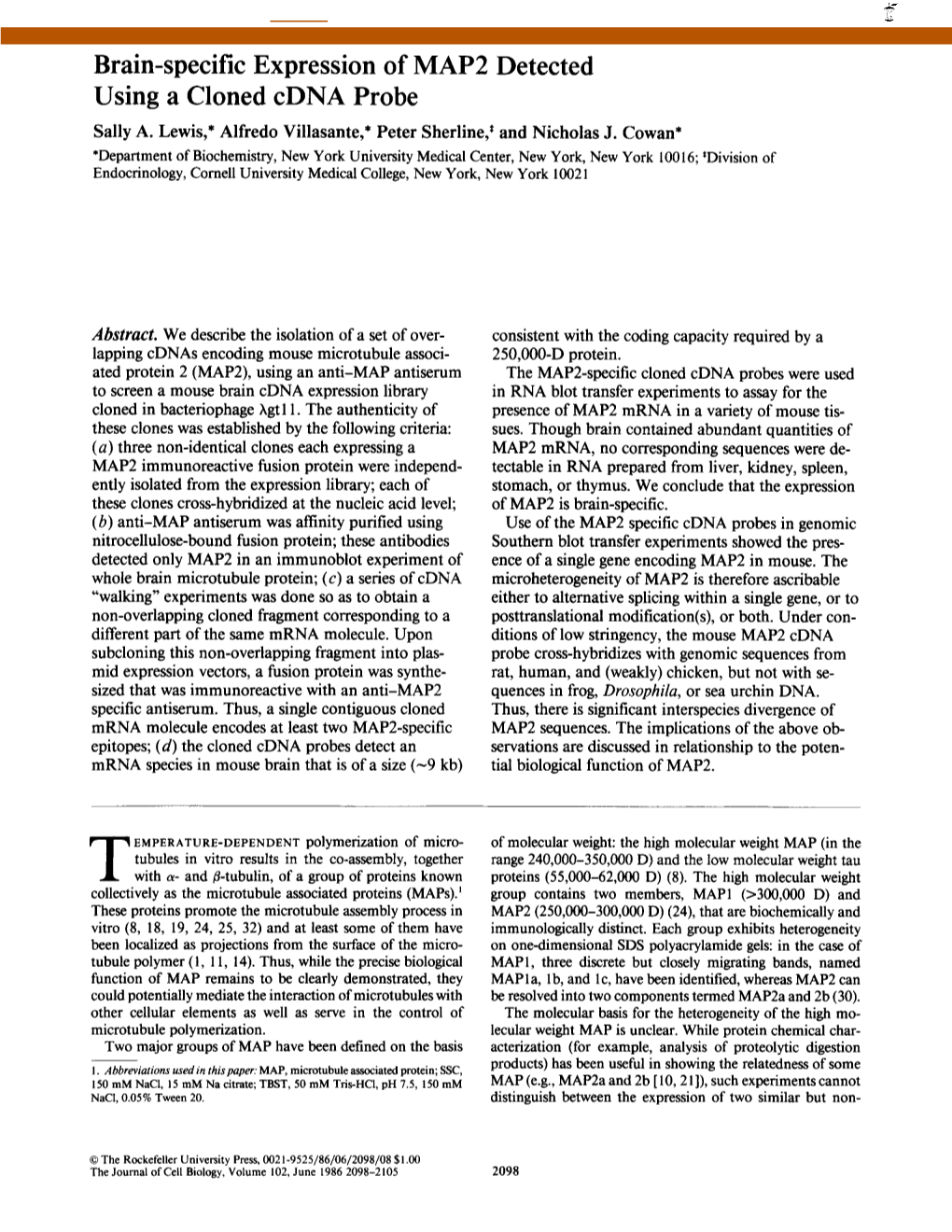 Brain-Specific Expression of MAP2 Detected Using a Cloned Cdna Probe Sally A