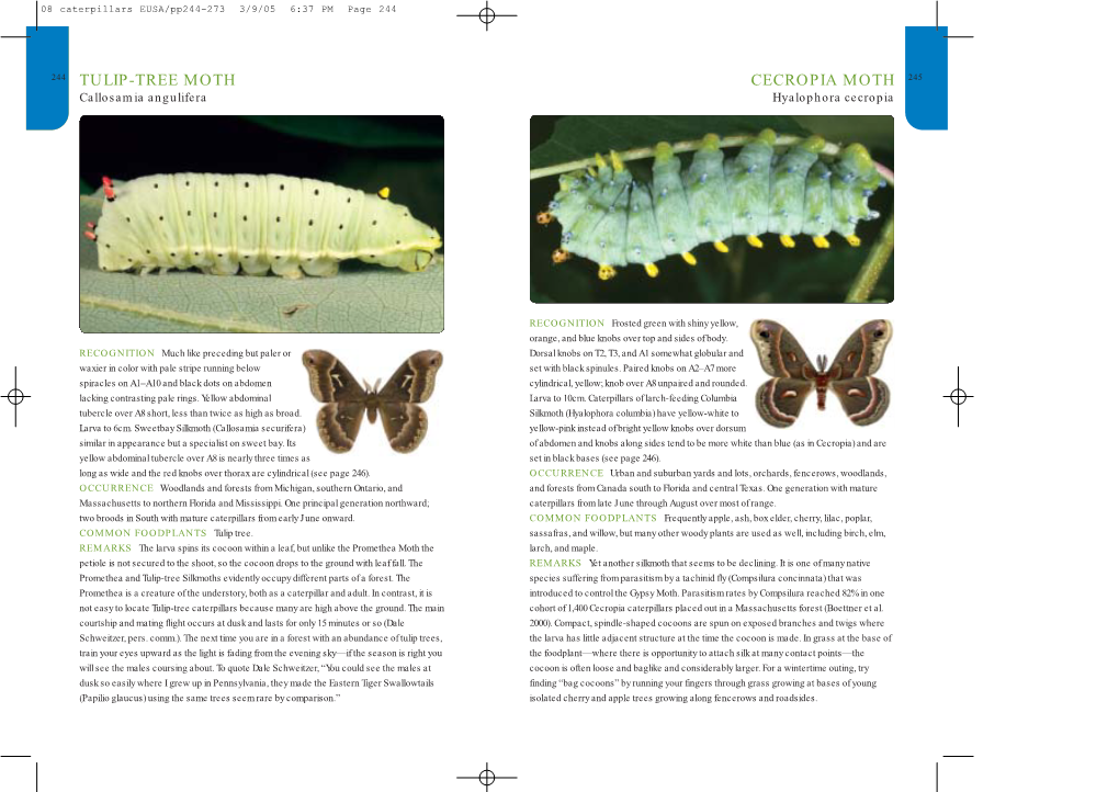 Hawk Moths of North America Is Richly Illustrated with Larval Images and Contains an Abundance of Life History Information