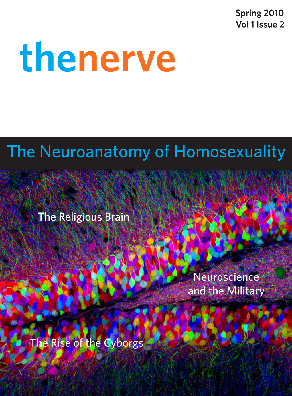 The Neuroanatomy of Homosexuality
