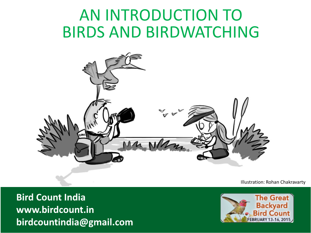An Introduction to Birds and Birding