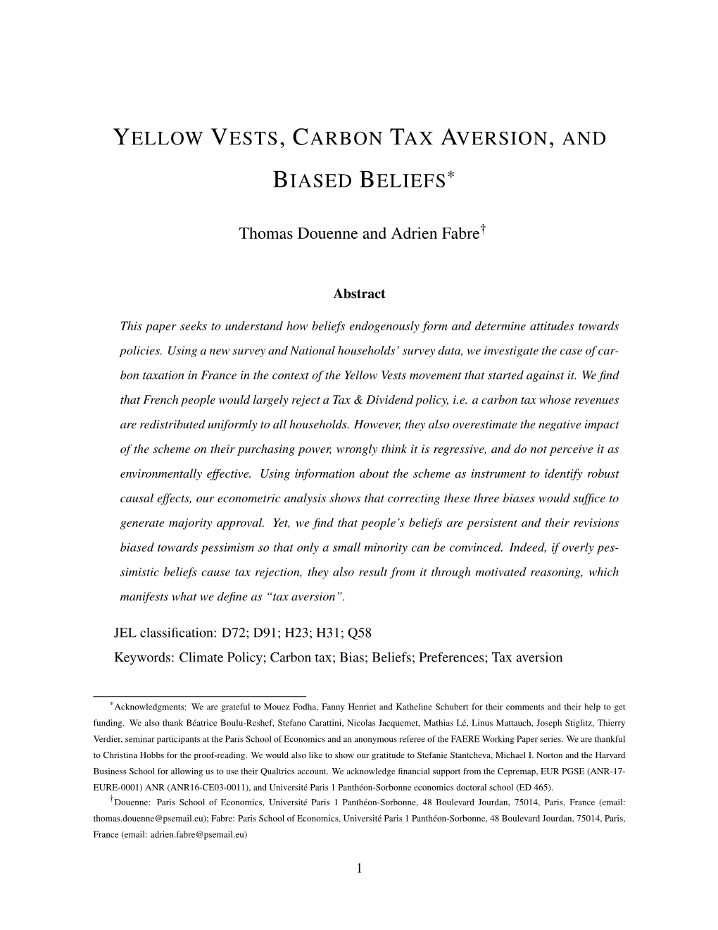 Yellow Vests, Carbon Tax Aversion, and Biased Beliefs