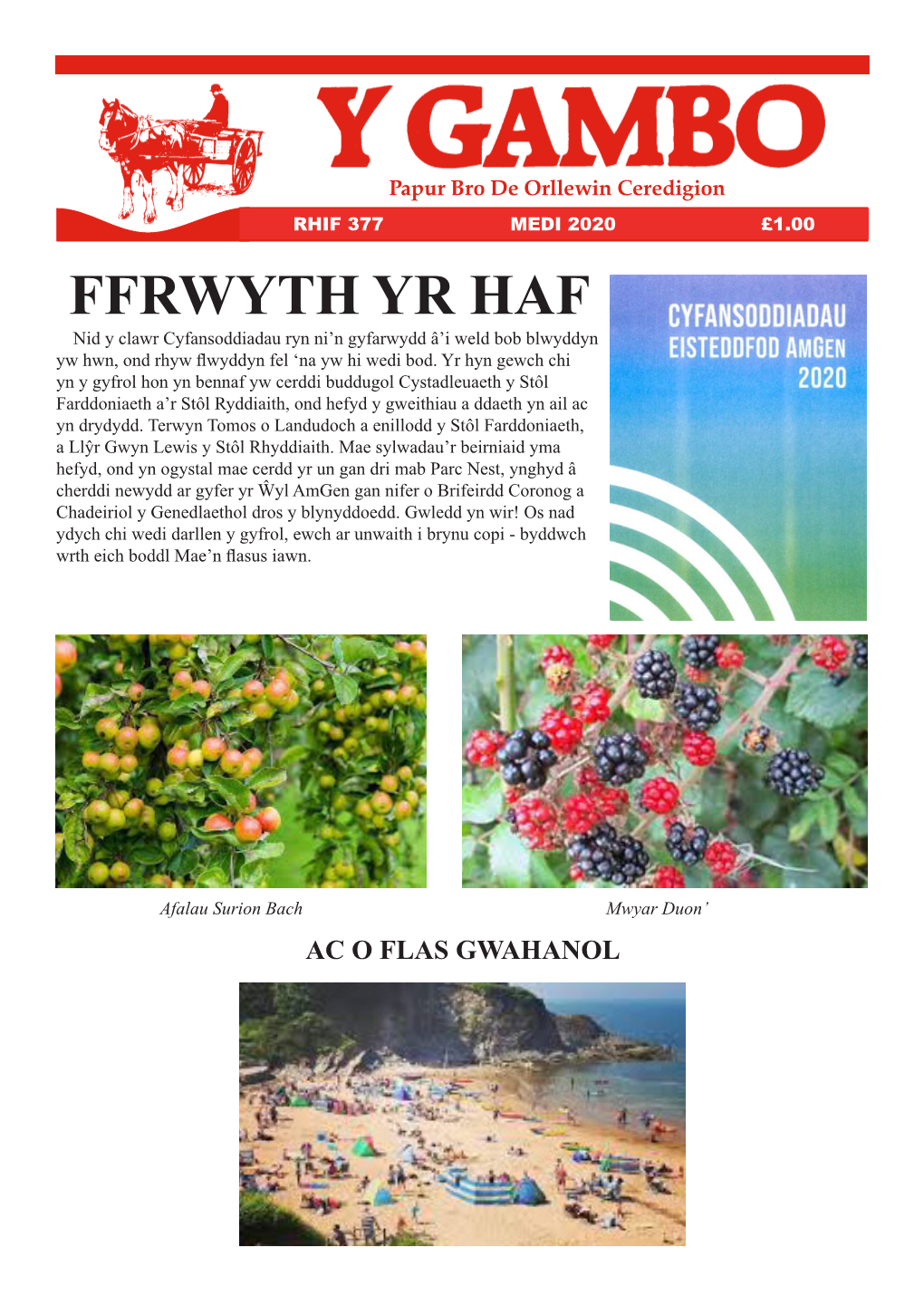 FFRWYTH YR HAF Nid Y Clawr Cyfansoddiadau Ryn Ni’N Gyfarwydd Â’I Weld Bob Blwyddyn Yw Hwn, Ond Rhyw Flwyddyn Fel ‘Na Yw Hi Wedi Bod