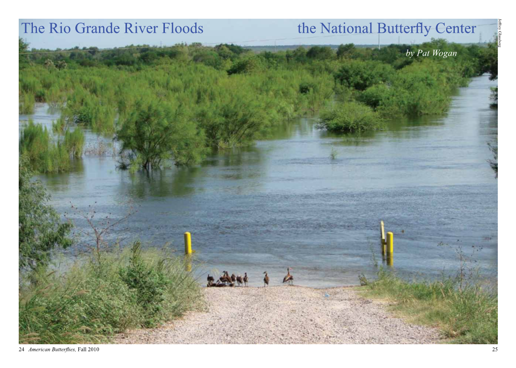 The Rio Grande River Floods the National Butterfly Center