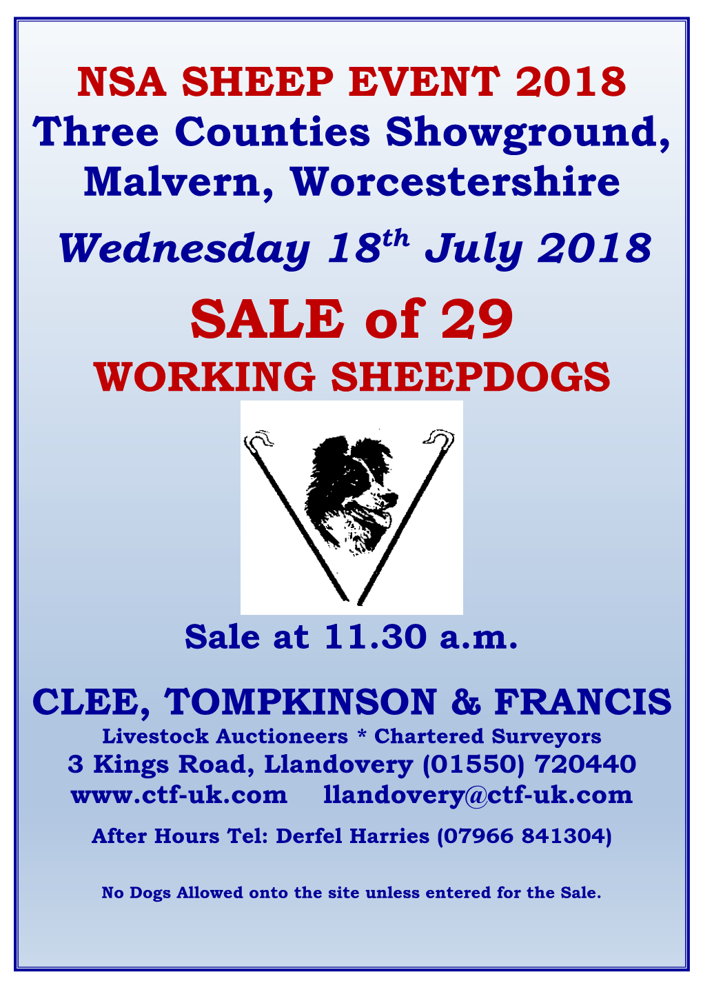 SALE of 29 WORKING SHEEPDOGS