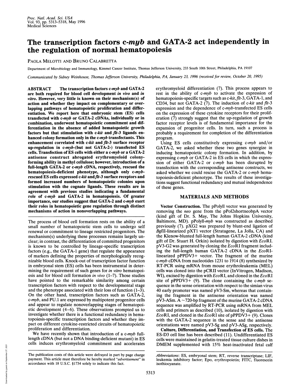 The Transcription Factors C-Myb and GATA-2 Act Independently in The