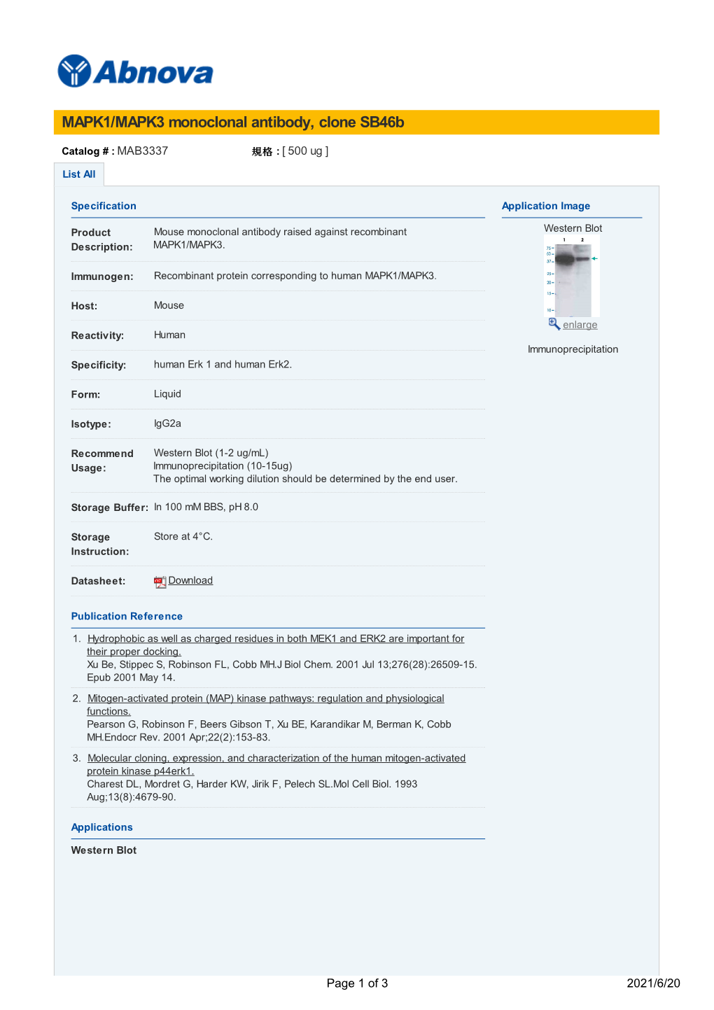 MAPK1/MAPK3 Monoclonal Antibody, Clone Sb46b