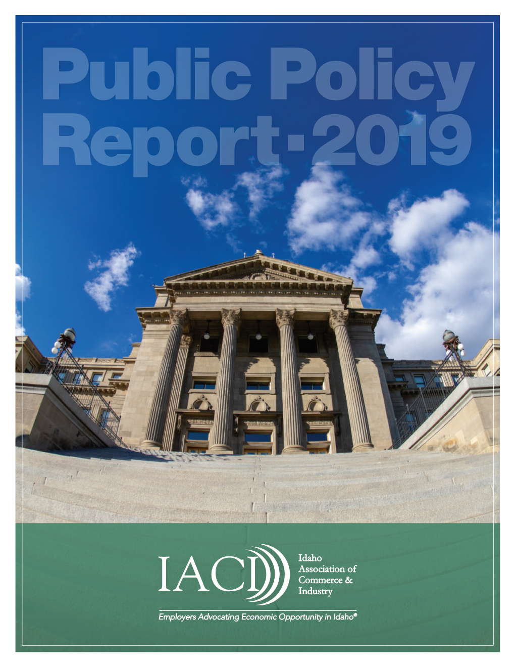 2019 Public Policy Report