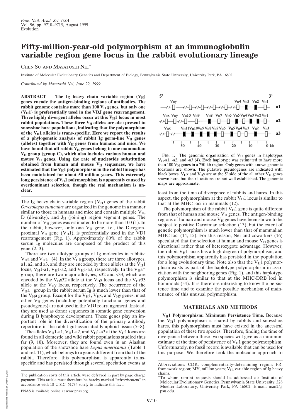 Fifty-Million-Year-Old Polymorphism at an Immunoglobulin Variable Region Gene Locus in the Rabbit Evolutionary Lineage