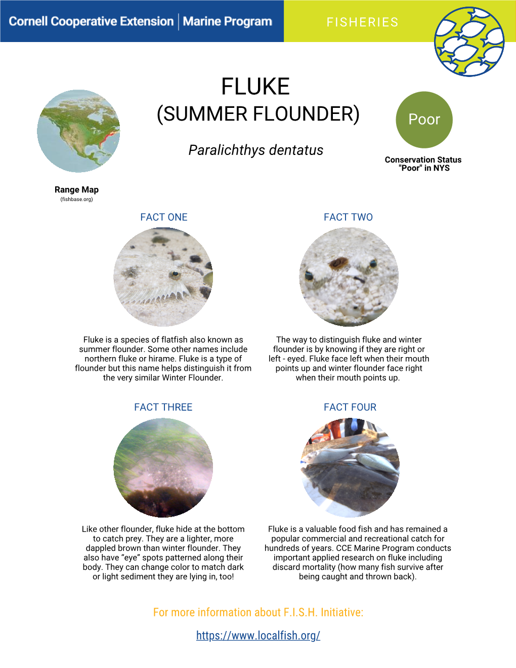 Copy of Summer Flounder/Fluke Fast Facts