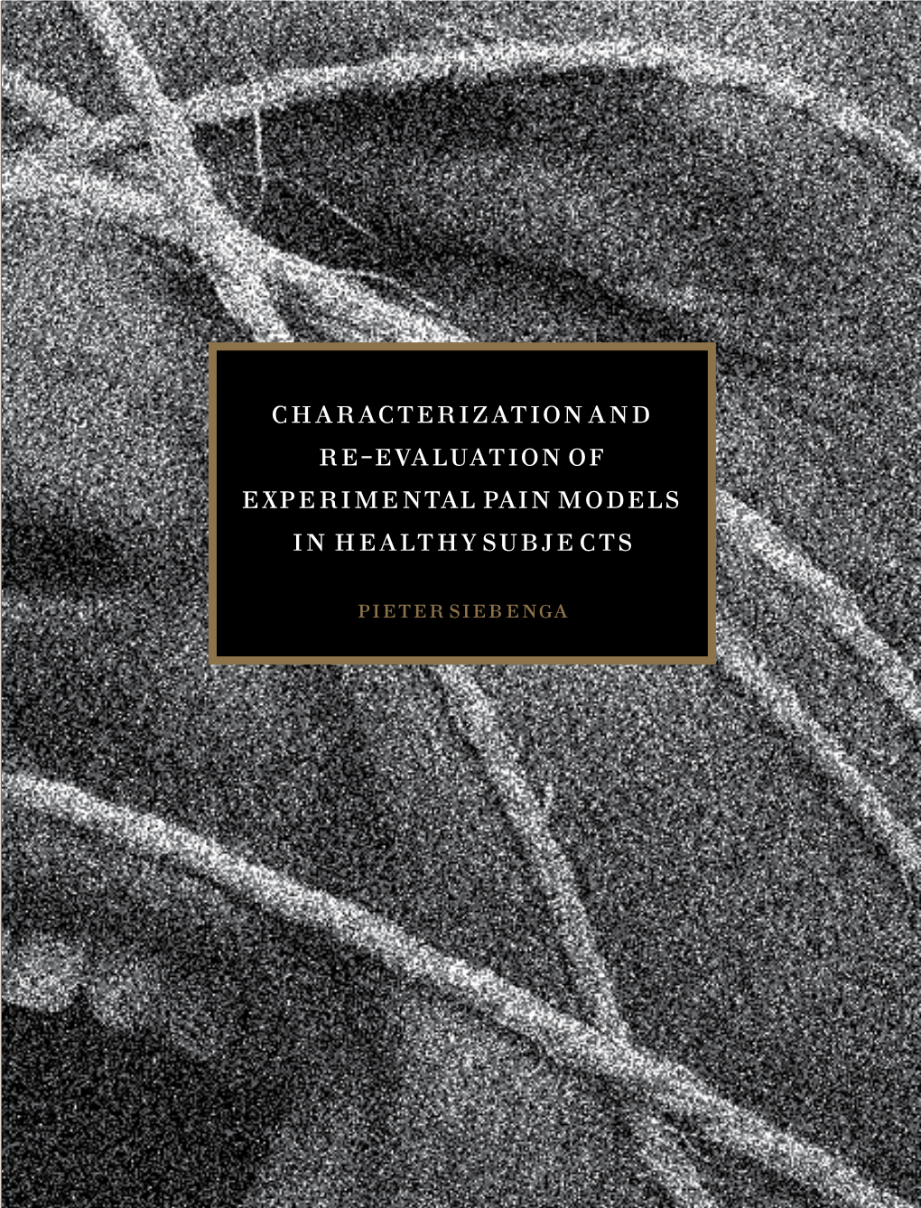 Characterization and Re-Evaluation of Experimental Pain Models in Healthy Subjects