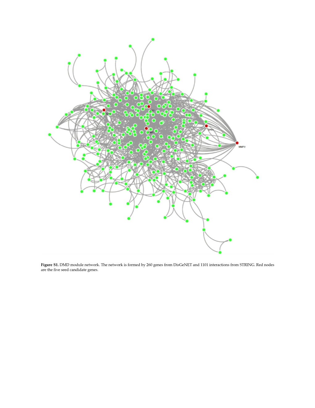 Figure S1. DMD Module Network. the Network Is Formed by 260 Genes from Disgenet and 1101 Interactions from STRING. Red Nodes Are the Five Seed Candidate Genes