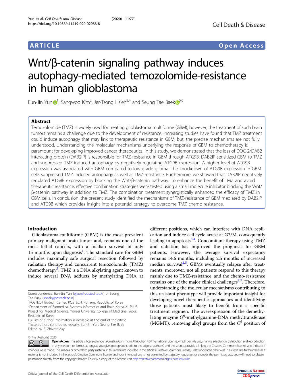 Wnt/Β-Catenin Signaling Pathway Induces Autophagy