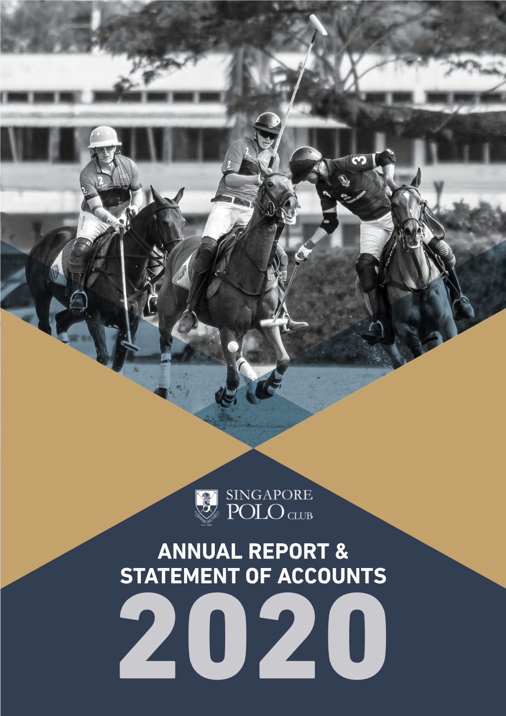 Annual Report and Statement of Accounts 2020