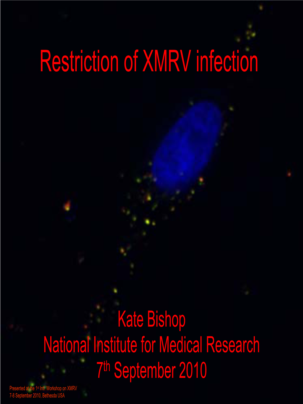 Restriction of XMRV Infection