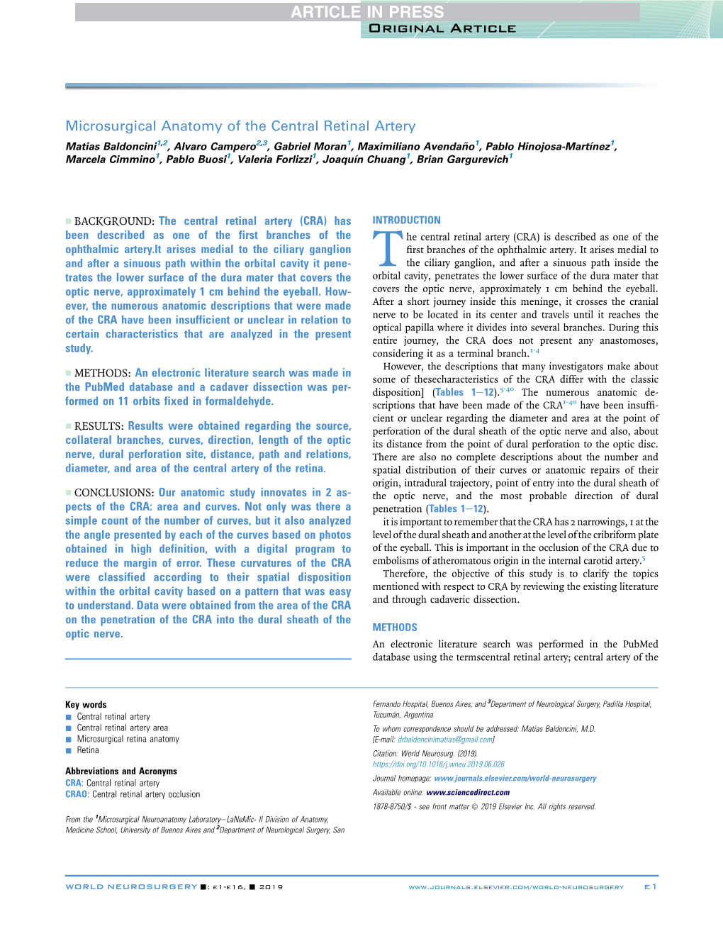 Microsurgical Anatomy of the Central Retinal Artery