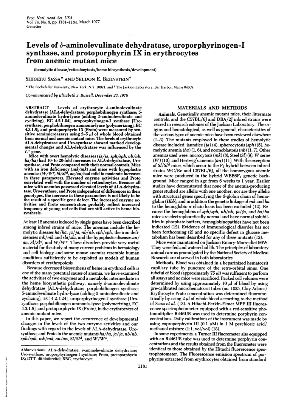 Levels of 6-Aminolevulinate Dehydratase, Uroporphyrinogen-I Synthase, and Protoporphyrin IX in Erythrocytes from Anemic Mutant M