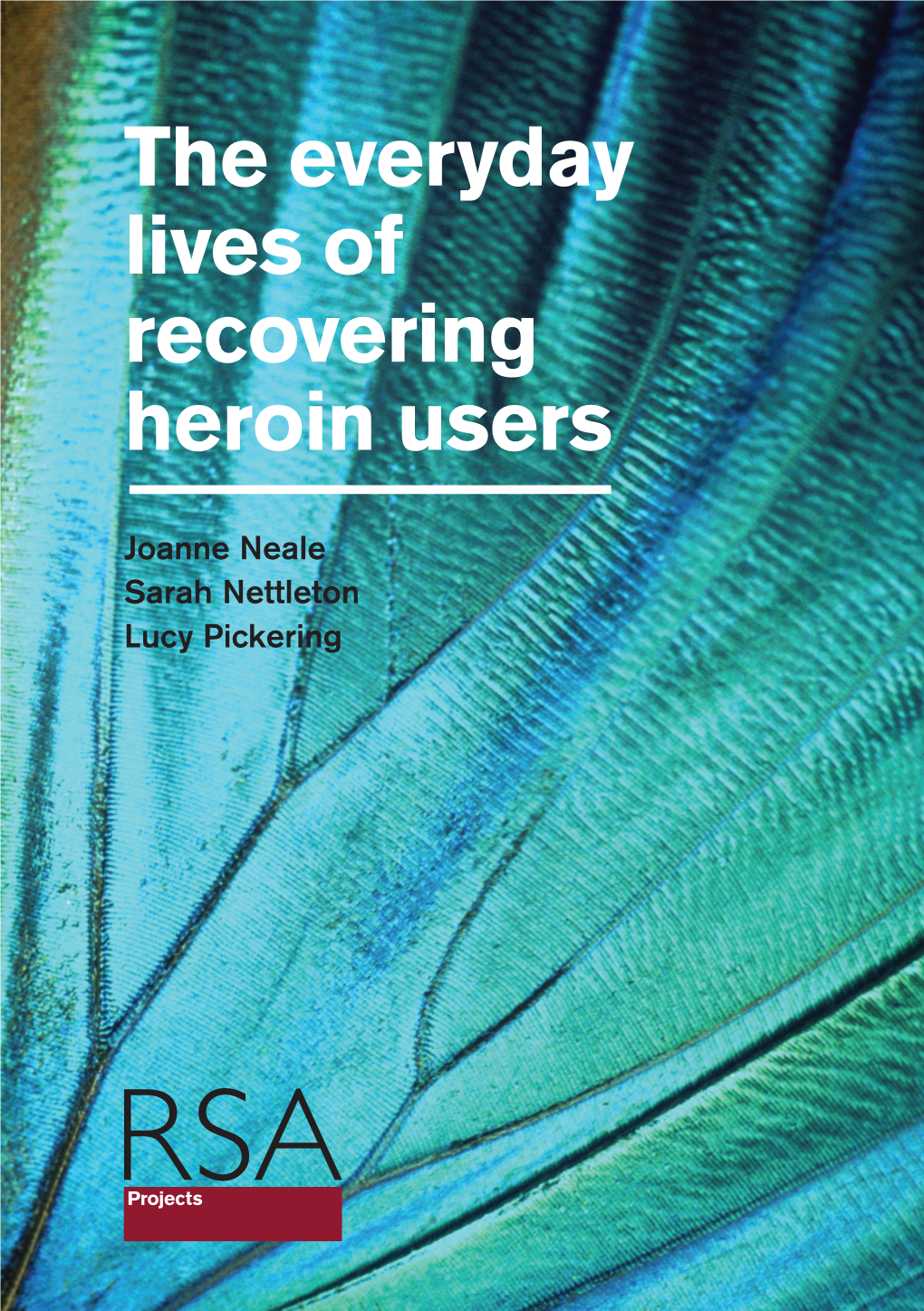 The Everyday Lives of Recovering Heroin Users