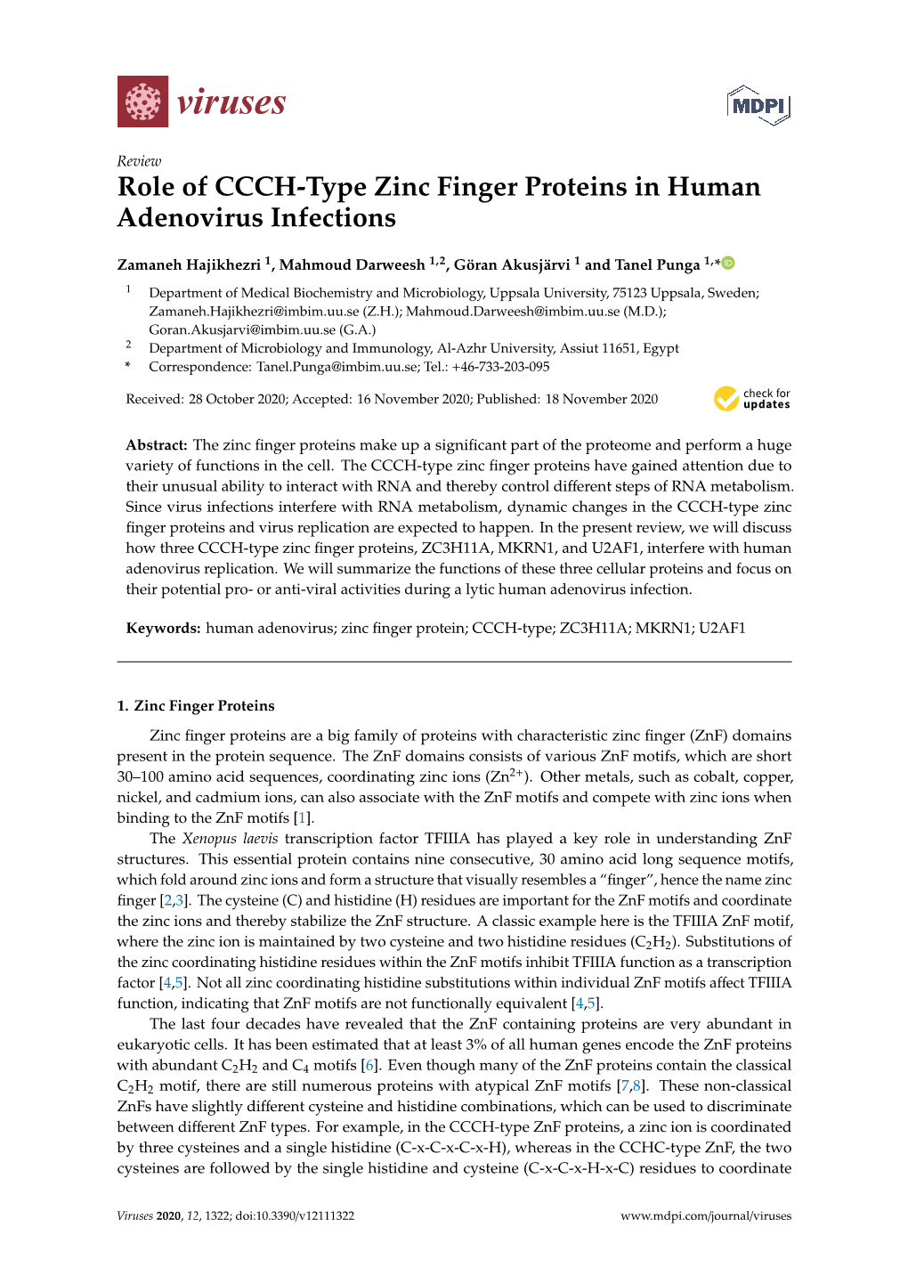 Role of CCCH-Type Zinc Finger Proteins in Human Adenovirus Infections