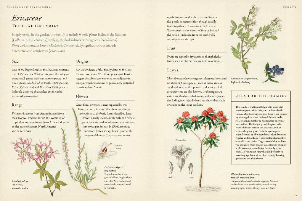 Ericaceae Five Petals, Sometimes Free, Though Usually the Heather Family Fused Together to Form a Tube, Bell Or Urn