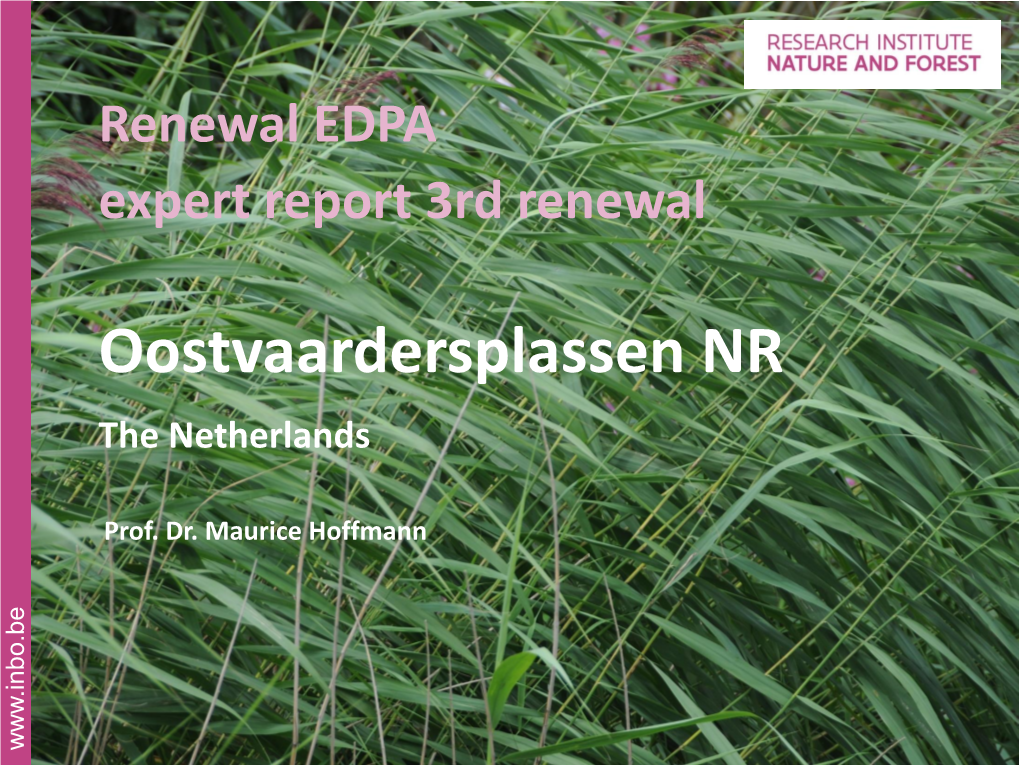 De Oostvaardersplassen Nature Reserve