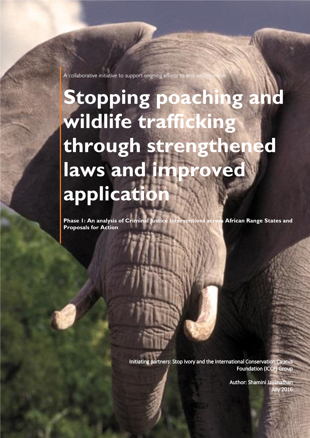 Stopping Poaching and Wildlife Trafficking Through Strengthened Laws and Improved Application