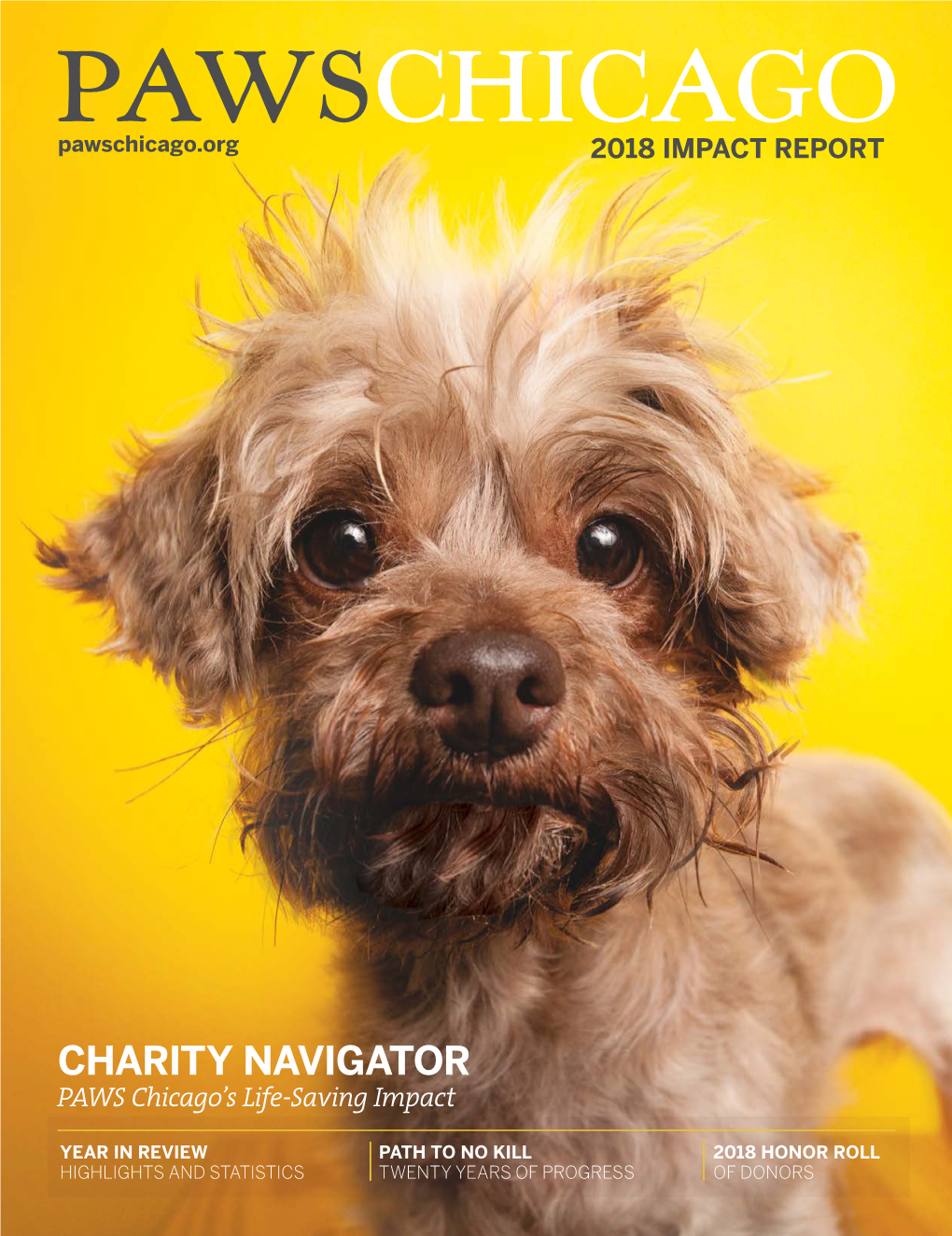 CHARITY NAVIGATOR PAWS Chicago’S Life-Saving Impact