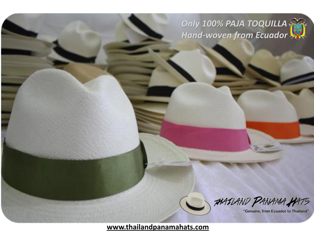 Panama Hat Classic, Fedora Style, Fino Grad from Montecristi