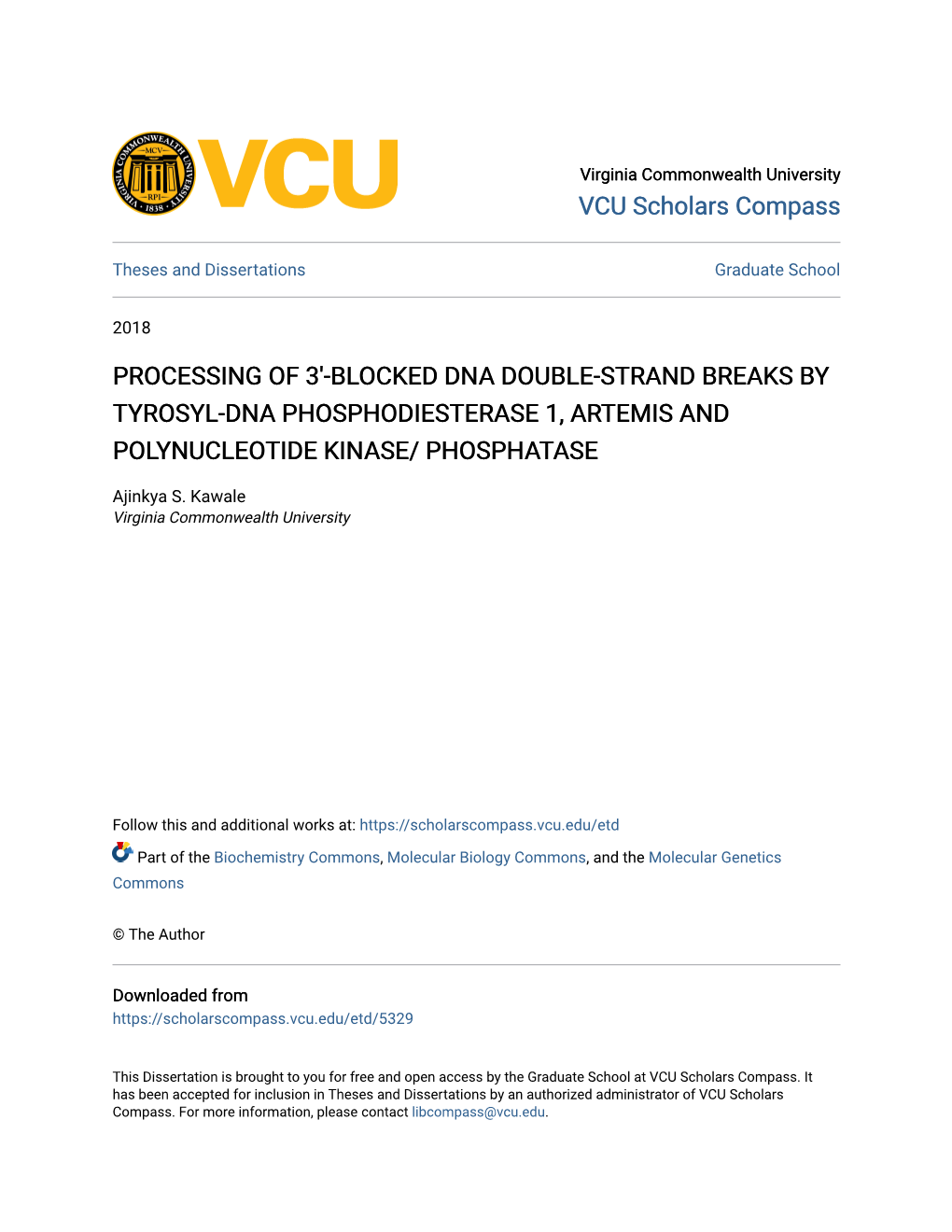 Processing of 3′-Blocked Dna Double-Strand Breaks by Tyrosyl-Dna Phosphodiesterase 1, Artemis and Polynucleotide Kinase/ Phosphatase