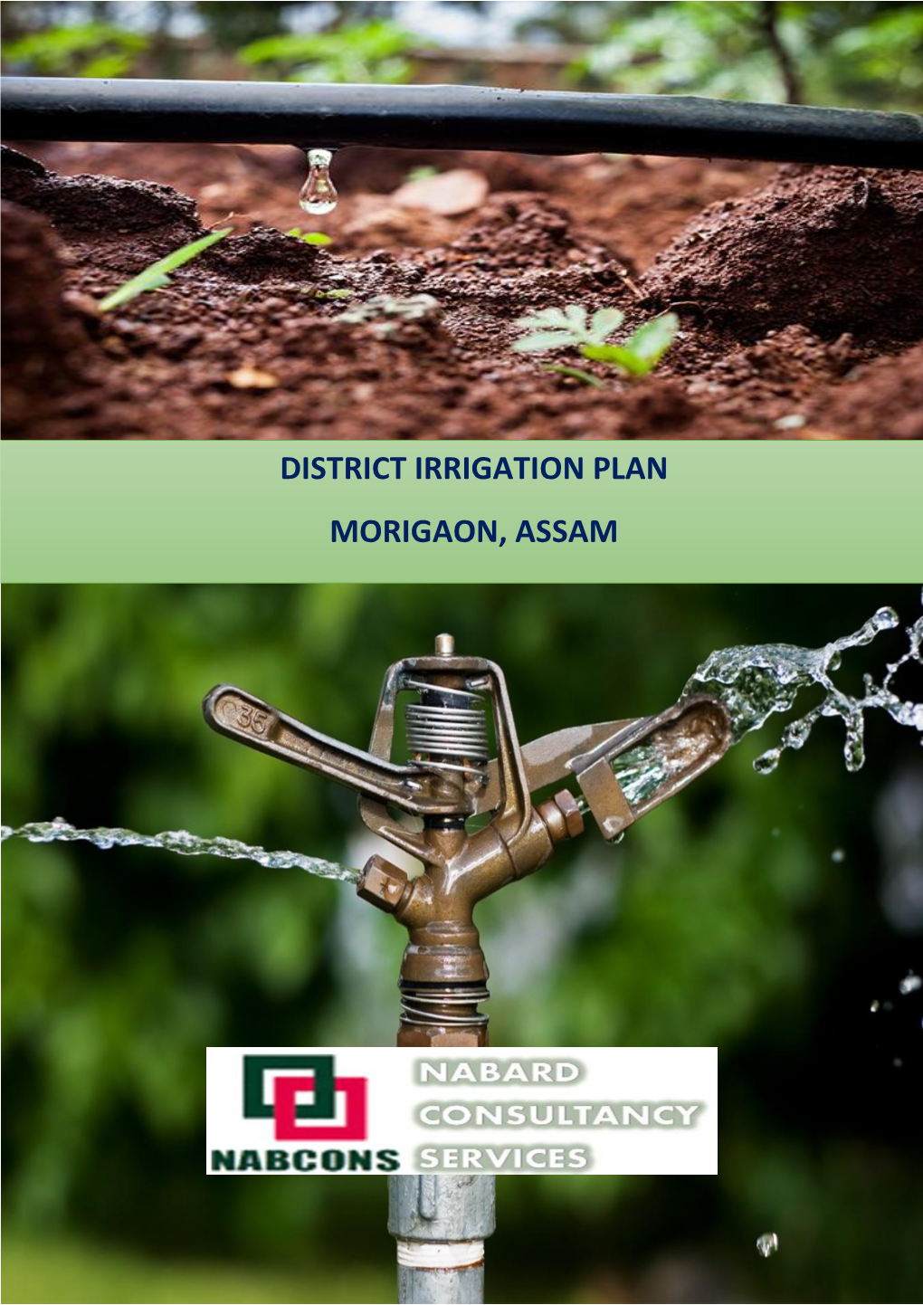 District Irrigation Plan Morigaon, Assam