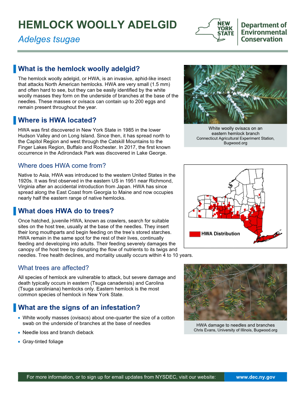 Hemlock Woolly Adelgid Fact Sheet