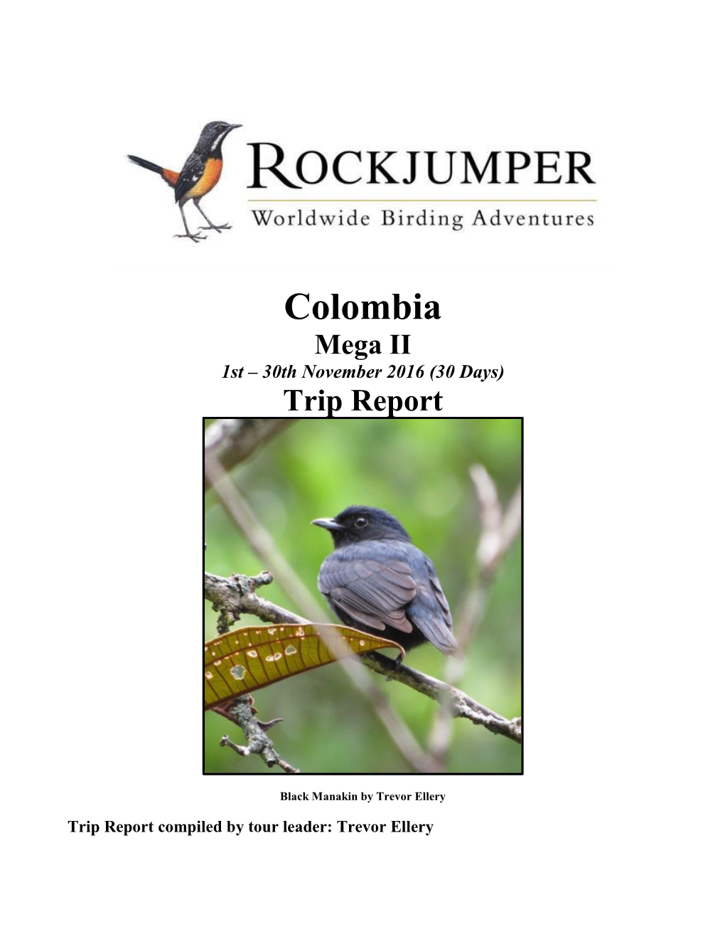 Colombia Mega II 1St – 30Th November 2016 (30 Days) Trip Report