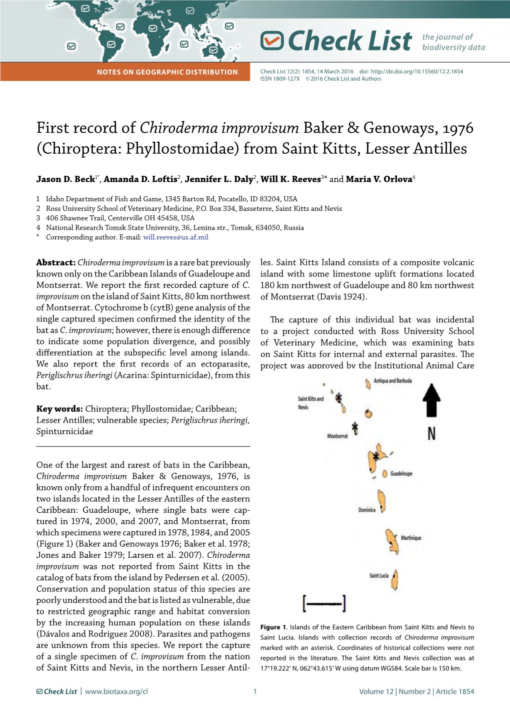 Chiroderma Improvisum Baker & Genoways, 1976 (Chiroptera: Phyllostomidae) from Saint Kitts, Lesser Antilles