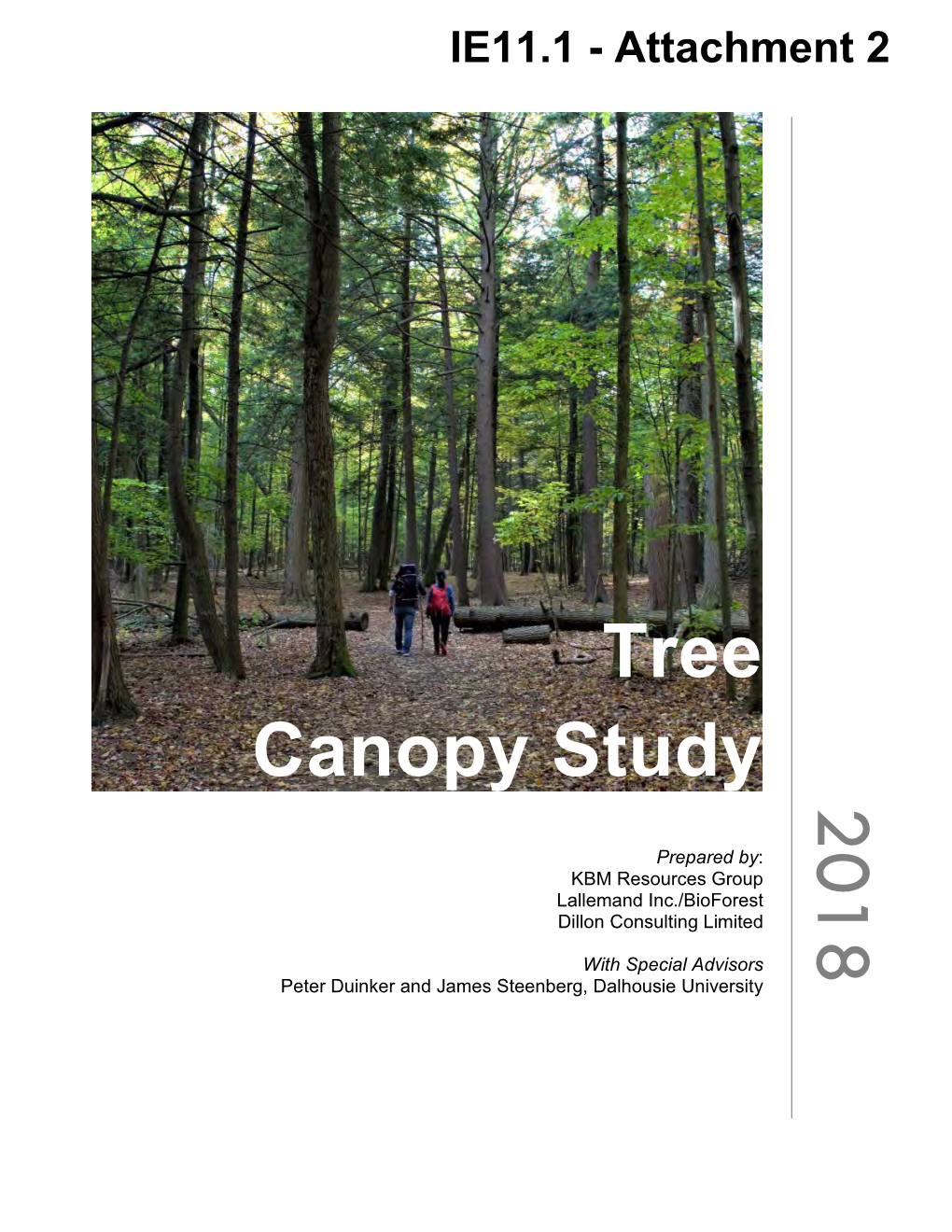Tree Canopy Study 201