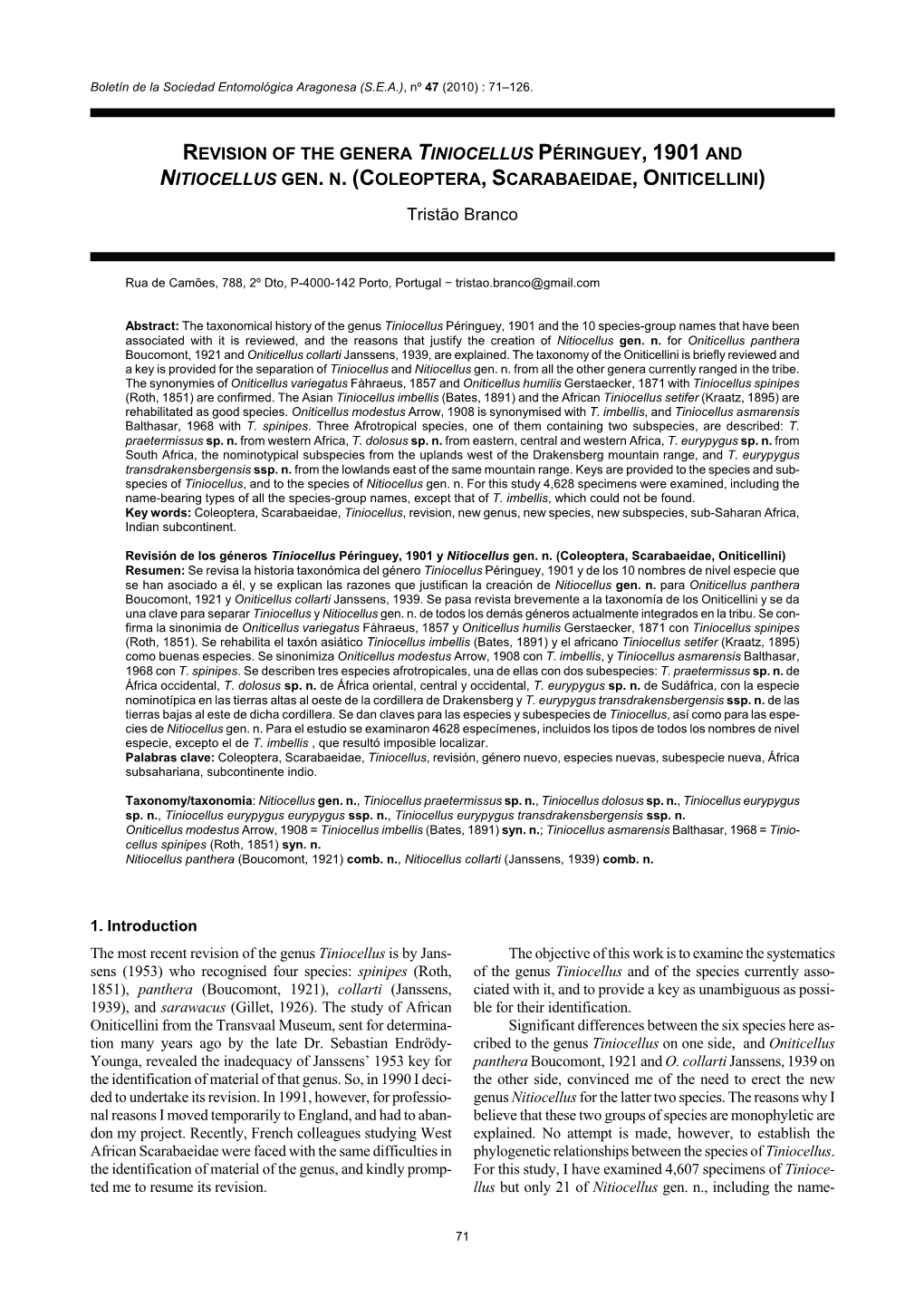 Revision of the Genera Tiniocellus Péringuey, 1901 and Nitiocellus Gen