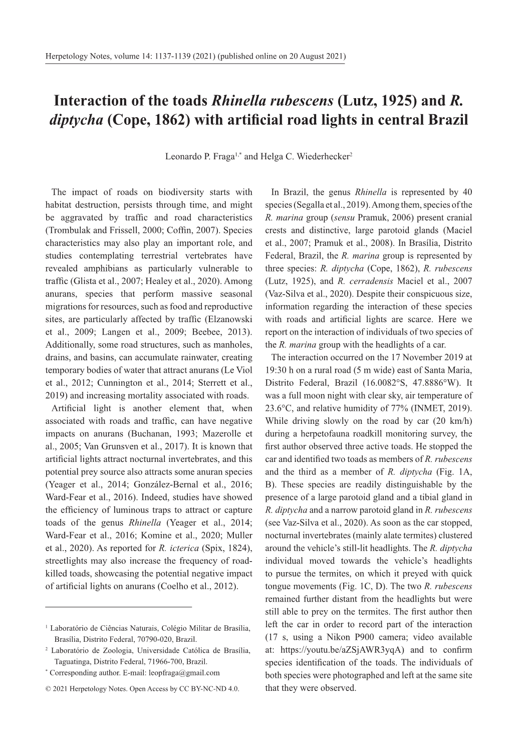 Interaction of the Toads Rhinella Rubescens (Lutz, 1925) and R